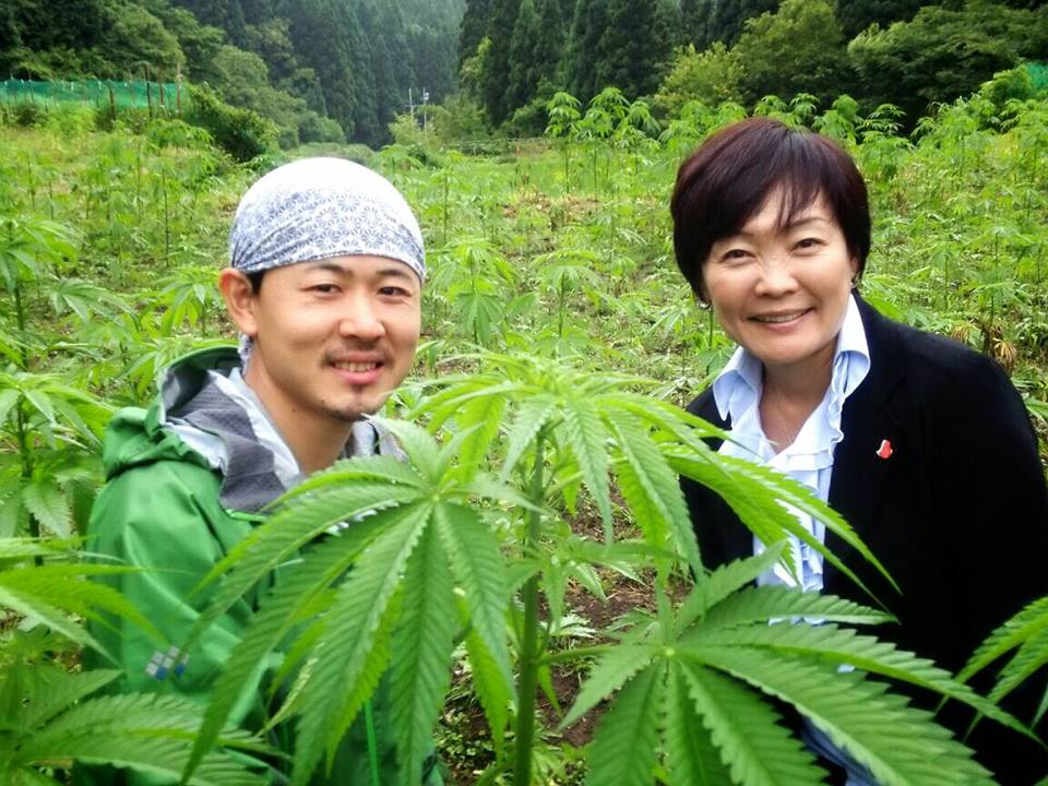 【北海道】野生大麻を使用目的で刈り取る事件が後を絶たない…　オホーツクの広大な群生地、駆除限界★2 	YouTube動画>5本 ->画像>39枚 