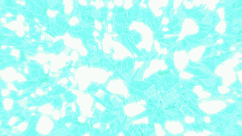 1449856798036