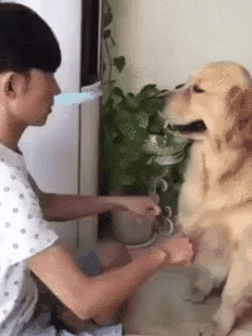 http://livedoor.4.blogimg.jp/antiwar_11/_f/51tUgJl.gif