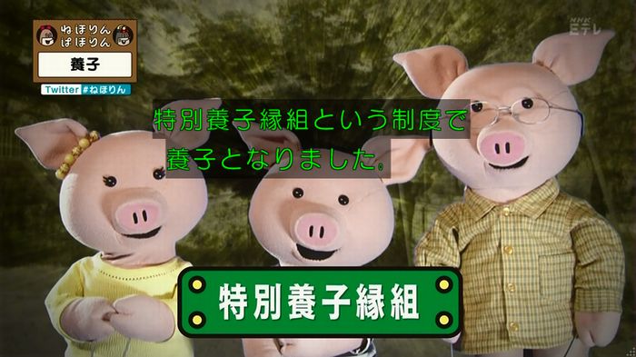 ねほりん 養子回のキャプ29