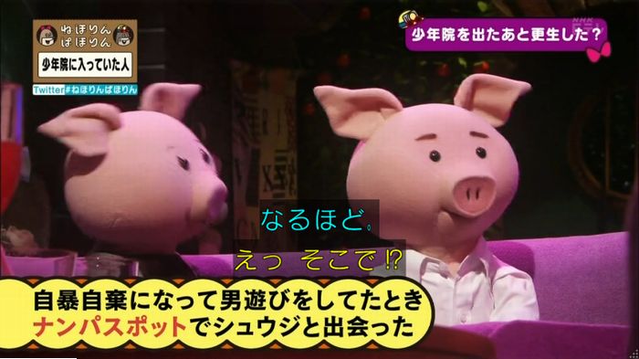 ねほりんぱほりんのキャプ229
