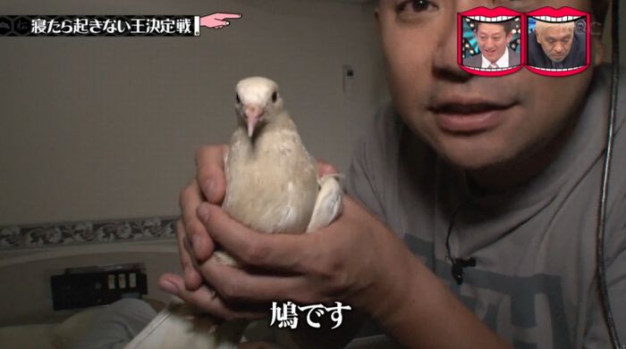 水曜日のダウンタウンのキャプ123