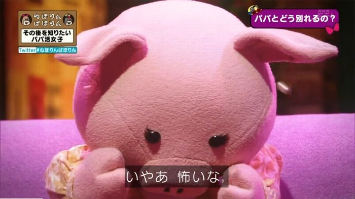 ねほりんぱほりんのキャプ224