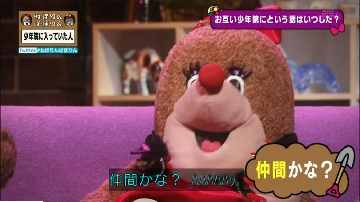 ねほりんぱほりんのキャプ237