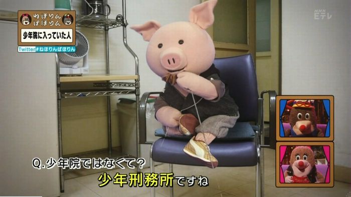 ねほりんぱほりんのキャプ159