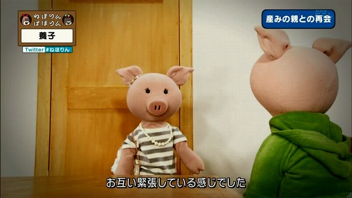 ねほりん 養子回のキャプ317