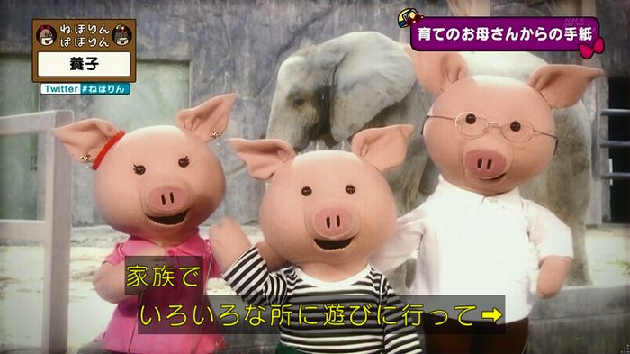 ねほりん 養子回のキャプ417