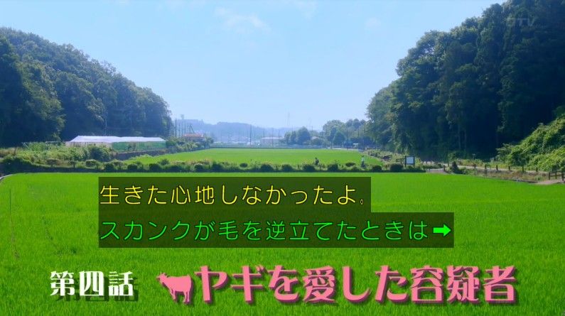 いきもの係 4話のキャプ189
