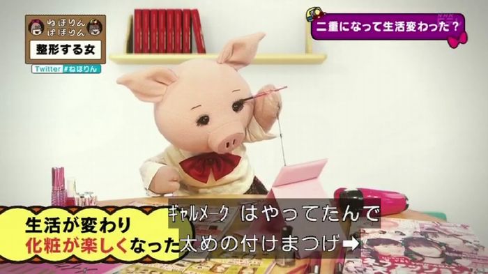 ねほりんぱほりんのキャプ225