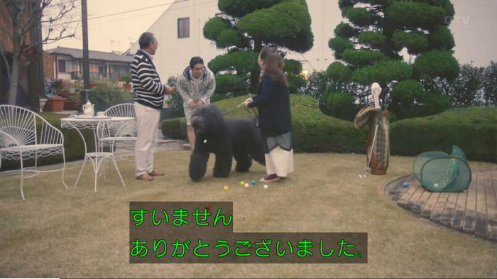 nontitle706