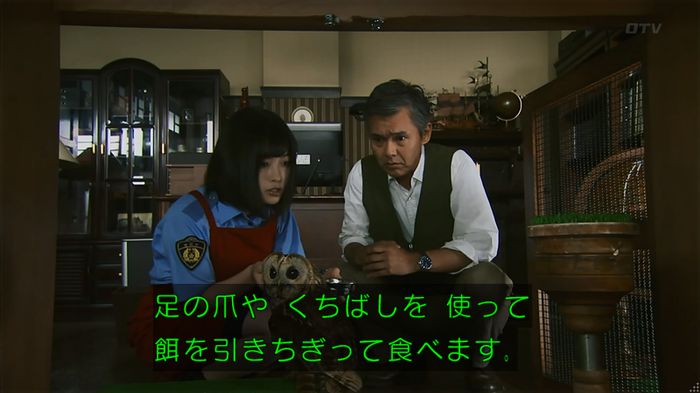 警視庁いきもの係 8話のキャプ234