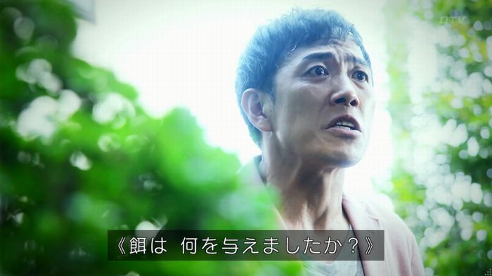 警視庁いきもの係 8話のキャプ785