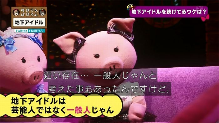 ねほりん 地下アイドル後編のキャプ455