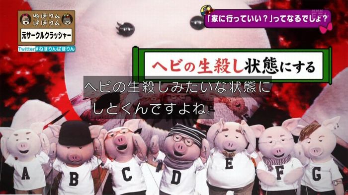 ねほりんぱほりん サークルクラッシャーのキャプ208