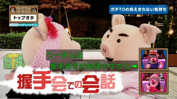 ねほりんぱほりんのキャプ443