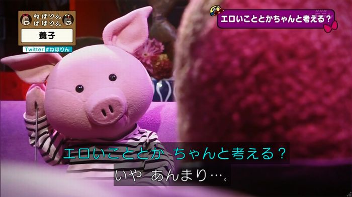 ねほりん 養子回のキャプ338
