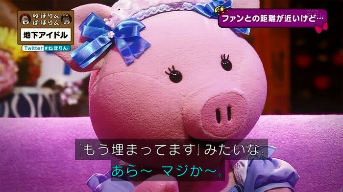 ねほりん 地下アイドル後編のキャプ115