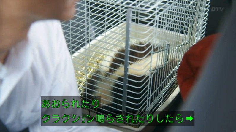 いきもの係 4話のキャプ179