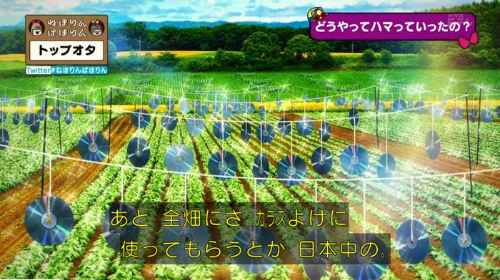 ねほりんぱほりんのキャプ142
