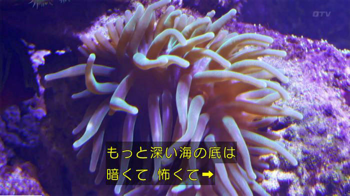 海月姫7話のキャプ538