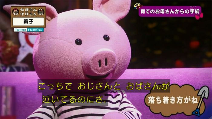 ねほりん 養子回のキャプ432