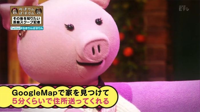 ねほりんぱほりんのキャプ501