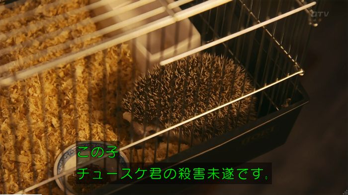 警視庁いきもの係 9話のキャプ383