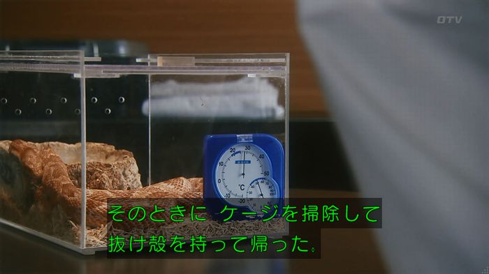 いきもの係 3話のキャプ390