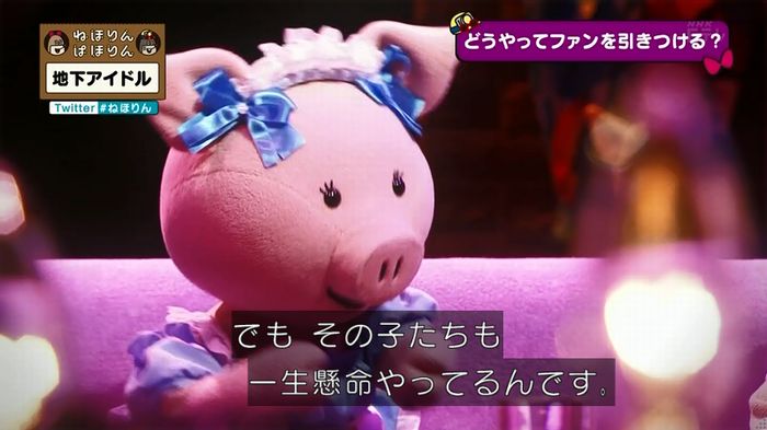 ねほりん 地下アイドル回のキャプ506