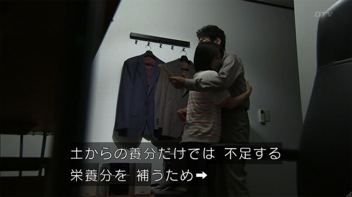 ウツボカズラの夢1話のキャプ623