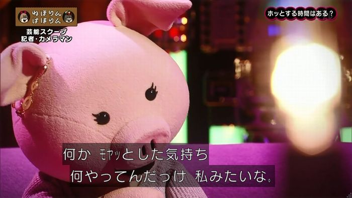 ねほりん 芸能スクープ回のキャプ441