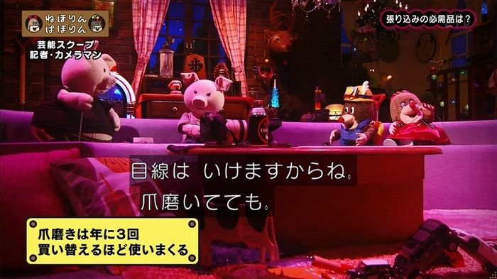 ねほりん 芸能スクープ回のキャプ210