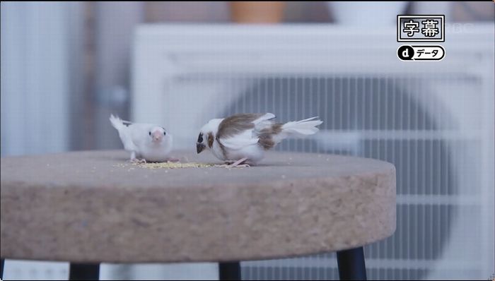 逃げ恥 7話のキャプ1