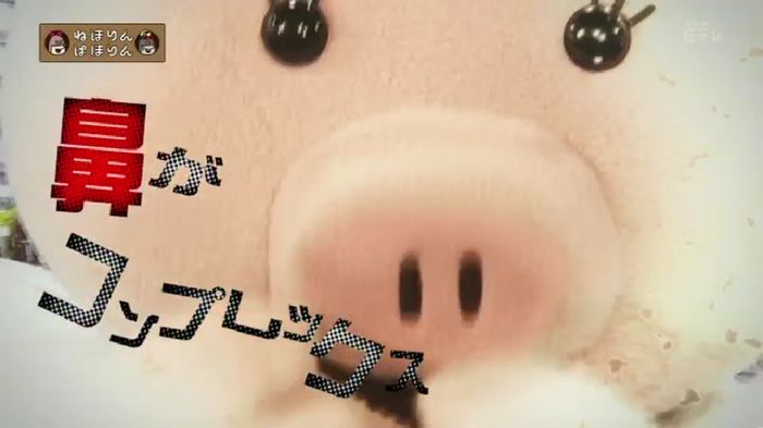 ねほりんぱほりんのキャプ3