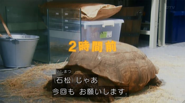 いきもの係 3話のキャプ35