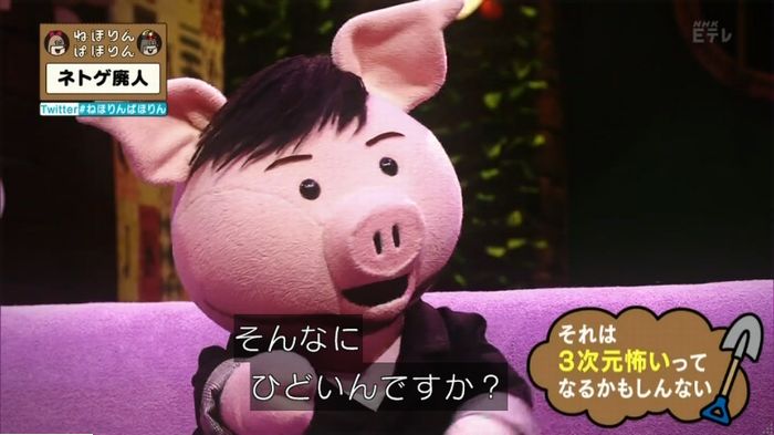 ねほりんネトゲ廃人のキャプ489