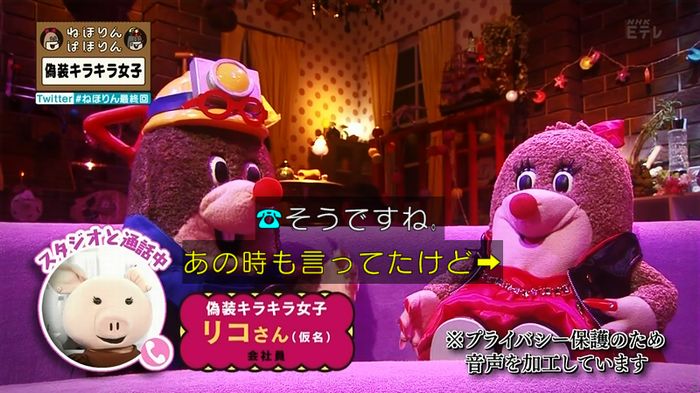 ねほりん 最終回のキャプ13