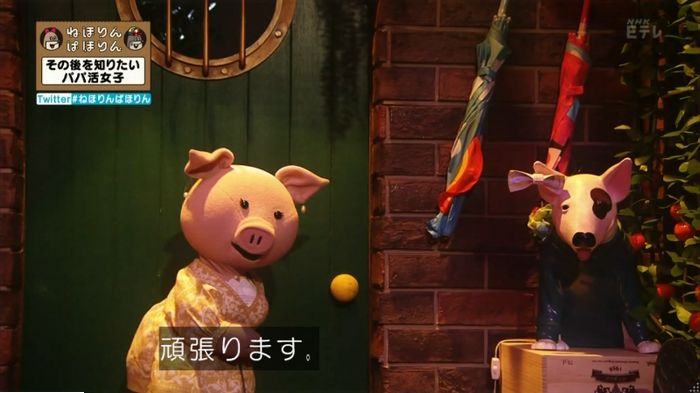 ねほりんぱほりんのキャプ236