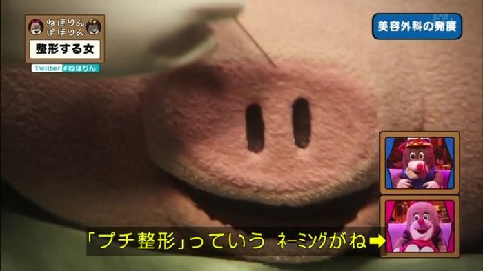 ねほりんぱほりんのキャプ283