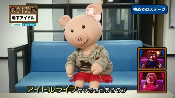 ねほりん 地下アイドル回のキャプ277