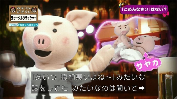 ねほりんぱほりん サークルクラッシャーのキャプ105