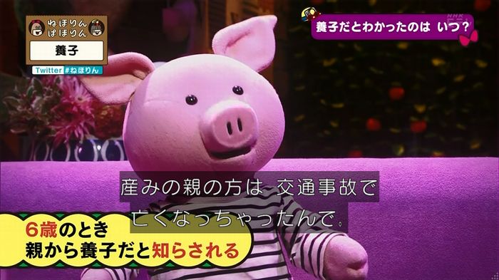ねほりん 養子回のキャプ38