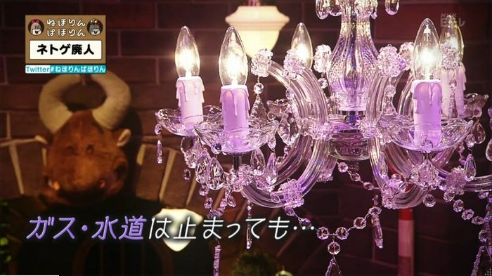 ねほりんネトゲ廃人のキャプ223