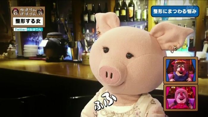 ねほりんぱほりんのキャプ365