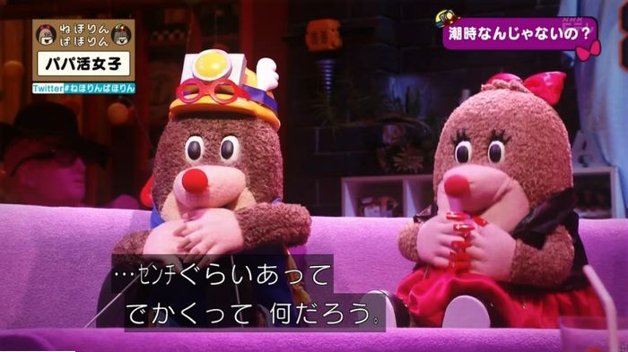 ねほりんぱほりんのキャプ356