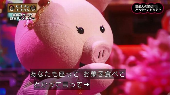 ねほりん 芸能スクープ回のキャプ114