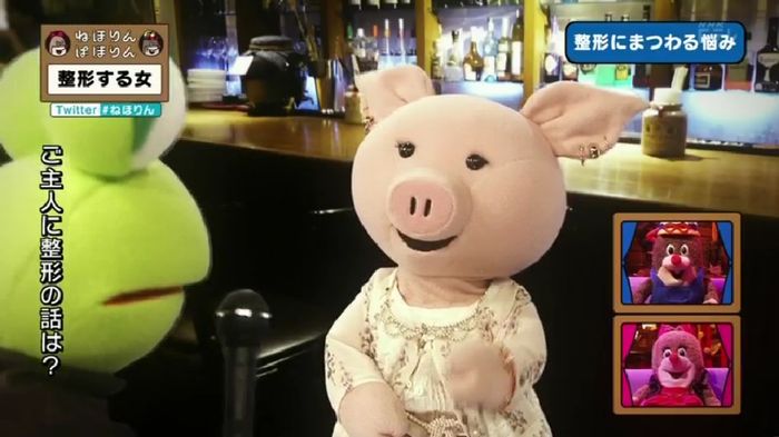 ねほりんぱほりんのキャプ362