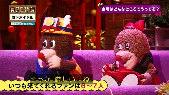 ねほりん 地下アイドル回のキャプ103