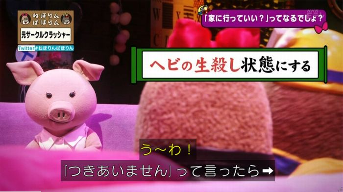ねほりんぱほりん サークルクラッシャーのキャプ209