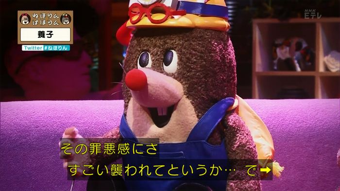 ねほりん 養子回のキャプ363